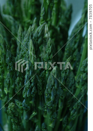 Asparagus Asparagus 7839705