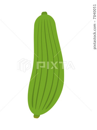 Loofah 7840051