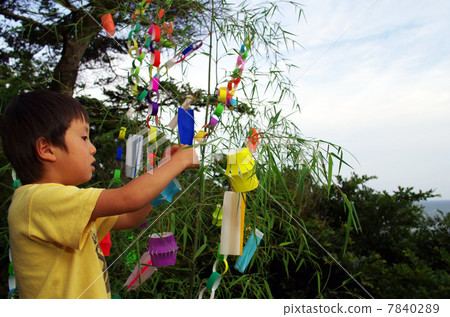 Bamboo decorations and children in Tanabata 7840289