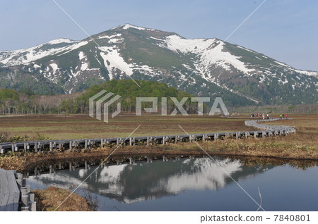 佛山 佛山 7840801