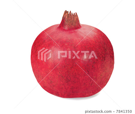 pomegranate fruit closeup isolated on white background pomegranate fruit closeup isolated on white background 7841350