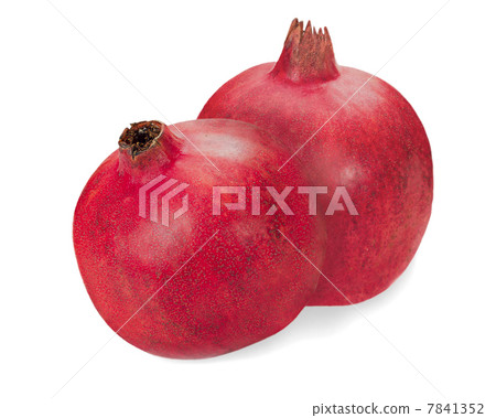 pomegranate fruits closeup isolated on white background pomegranate fruits closeup isolated on white background 7841352