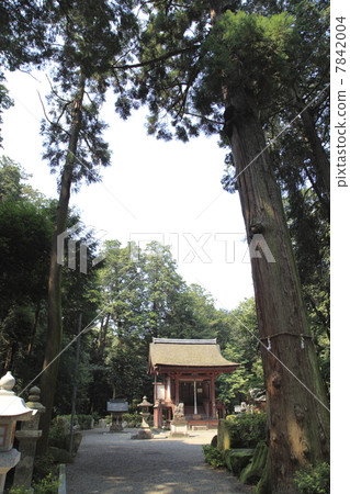 Shimapura神社的東Hon Shimapura神社的東Hon 7842004