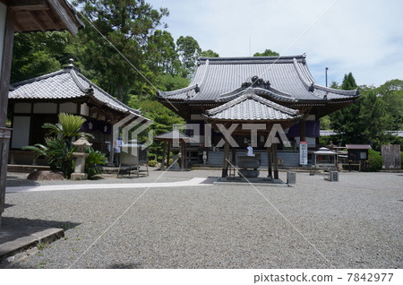 [Shikoku 88 places] No. 39 Summer Enkoji Precinct, Sukumo City, Kochi Prefecture 7842977