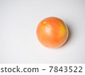 Ruby grapefruit 7843522