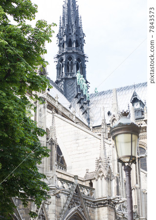 Notre Dame Cathedral 7843573