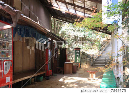 Shikoku Shrine Plant No. 71 Buddhist 'Yaidanji' in front of Yamen gate 'Haiku tea house' 7843575
