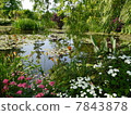 莫奈的花園 7843878