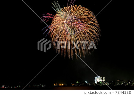 名古屋港節和煙花匯演 名古屋港節和煙花匯演 7844388