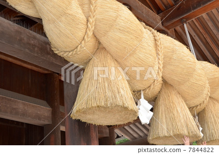 稻葉的白兔和強大的力量 稻葉的白兔和強大的力量 7844822