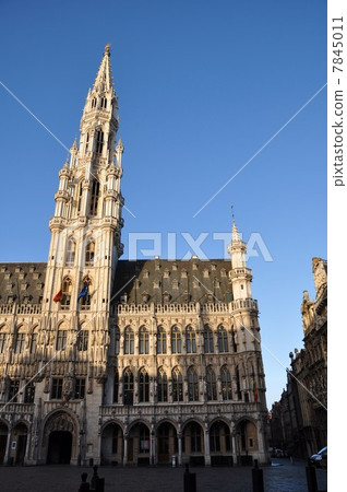 Grand Place Brussels 7845011