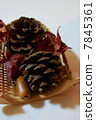 Pinecone 7845361