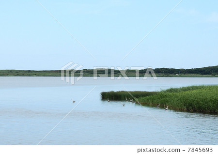 Abashiri-ko in summer (Abashiri city) 7845693