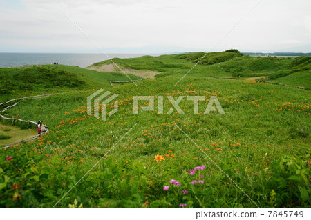 Watch Okhotsk Sea from Koshimizu Primary Garden (Koshimizu Town) 7845749