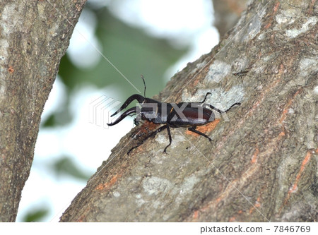 看到牙刷 看到牙刷 7846769