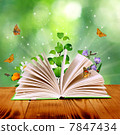 magic book 7847434