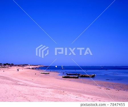 Beach of Anacao Beach of Anacao 7847455