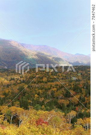 知床交叉路 7847462