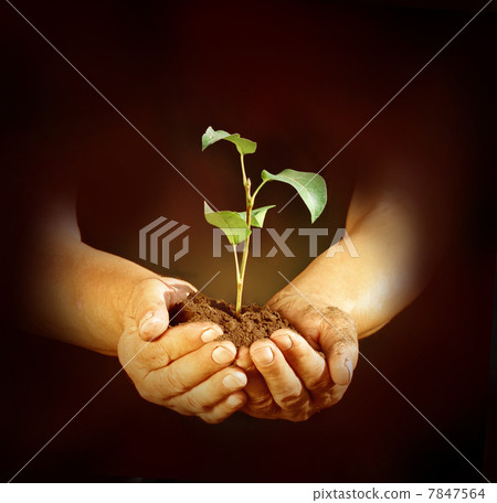 New life in hands 7847564