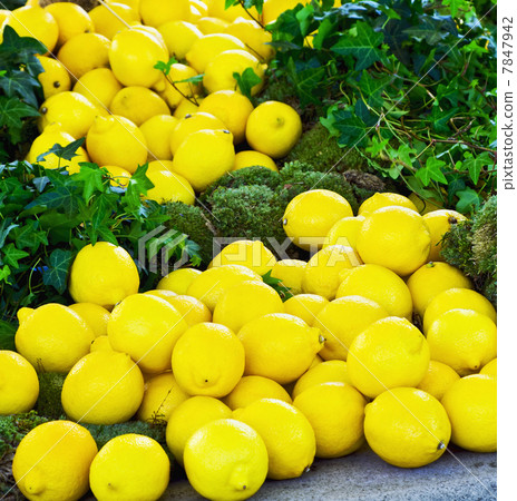 fresh yellow lemons