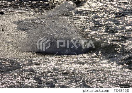閃耀的波浪 7848468