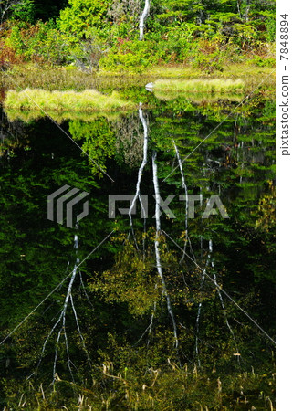 Norikura Kogen的牛舍2 7848894