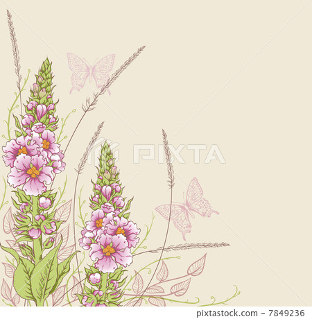 Summer floral background 7849236