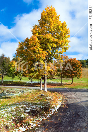 First winter snow and autumn colourful foliage near mountain roa First winter snow and autumn colourful foliage near mountain roa 7849284