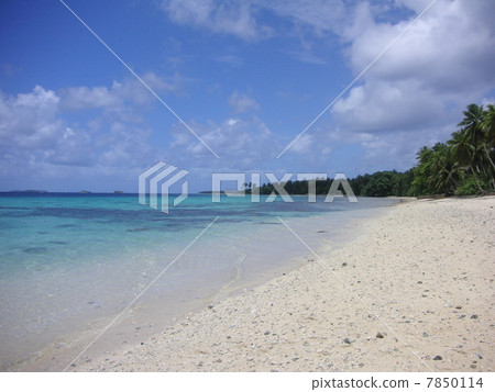 The beach of Majuro 7850114