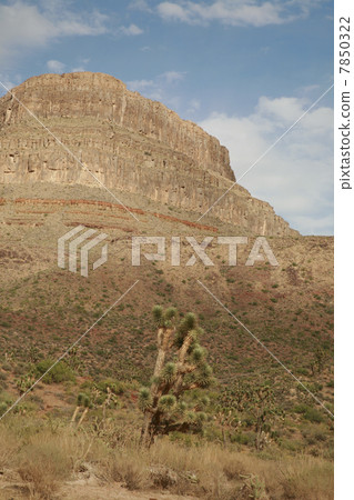 Grand Canyon 7850322