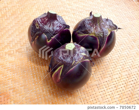 Kamo茄子 Kamo茄子 7850672