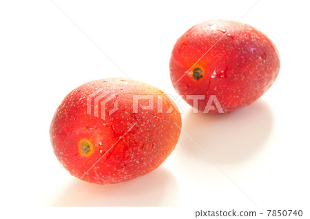 芒果 芒果 7850740