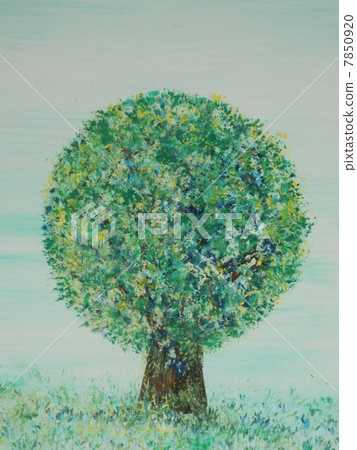 Tree Tree 7850920