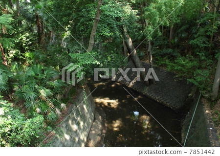 Todoroki Valley Todoroki Valley 7851442