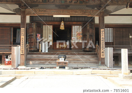 Taikidera Taikidera 7851601
