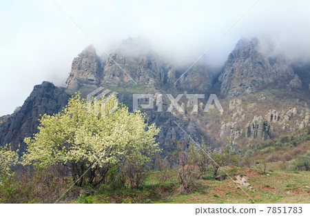 Misty rocky mountain 7851783