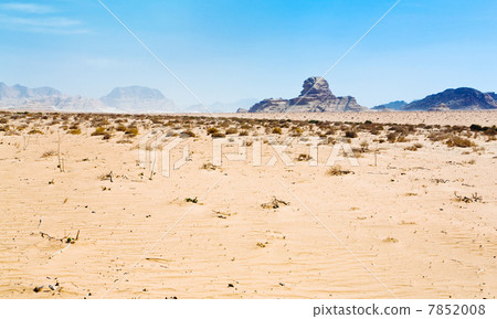 Sphinx rock in Wadi Rum desert Sphinx rock in Wadi Rum desert 7852008