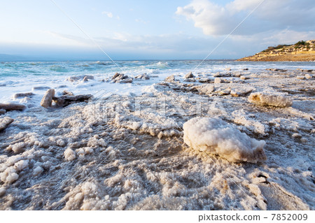 crystalline salt on beach of Dead Sea crystalline salt on beach of Dead Sea 7852009