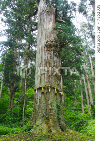 Yamagata Haguroyama Yamagata Haguroyama 7852039