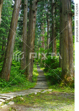 Yamagata Haguroyama Yamagata Haguroyama 7852044