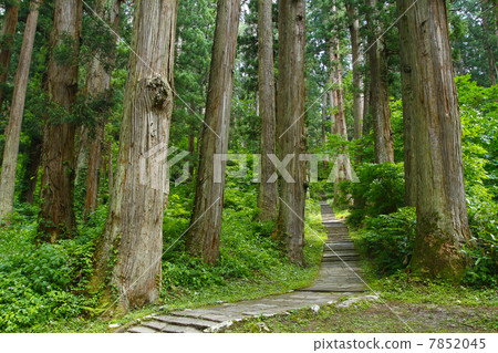 Yamagata Haguroyama Yamagata Haguroyama 7852045