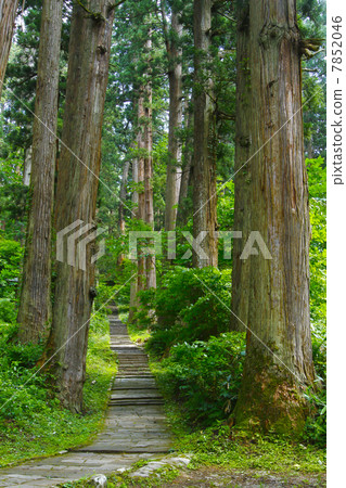 Yamagata Haguroyama Yamagata Haguroyama 7852046