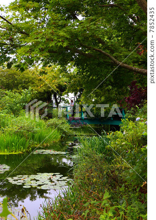 莫奈的花園 7852435