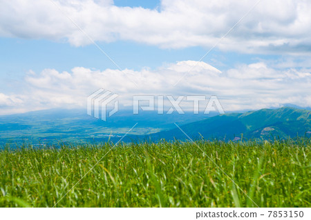 高原的風景 7853150