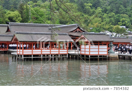 嚴島神社 嚴島神社 7854382
