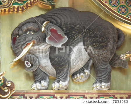 日光東照宮“幻想大象” 7855083