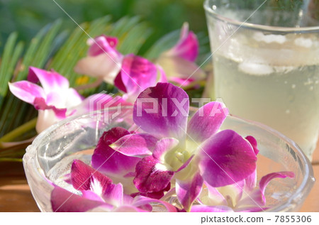 蘭花和飲料 7855306