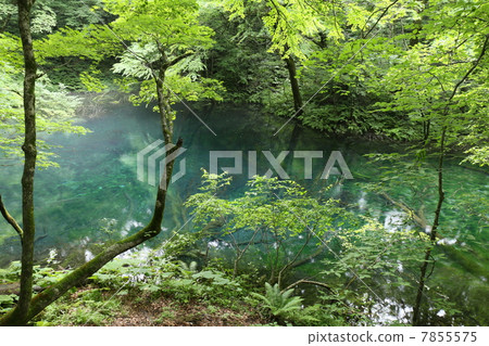 Pond of boiling pot 7855575