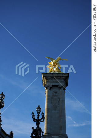 Statue of Statue of Paris Alexandre III bridge 7855967