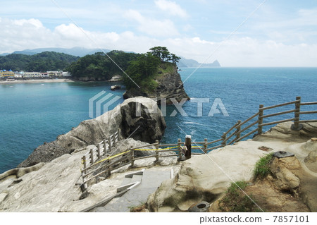 堂島 7857101